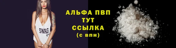 гидра Покровск
