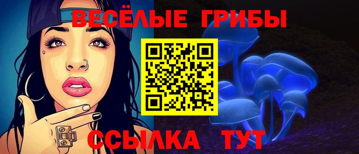 Псилоцибиновые грибы мицелий Новосибирск